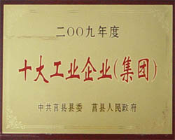 Ten Major Industrial Enterprises (Group)