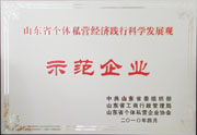 Demonstration Enterprise of Shandong Private Economy in Practing the Scientific  Development